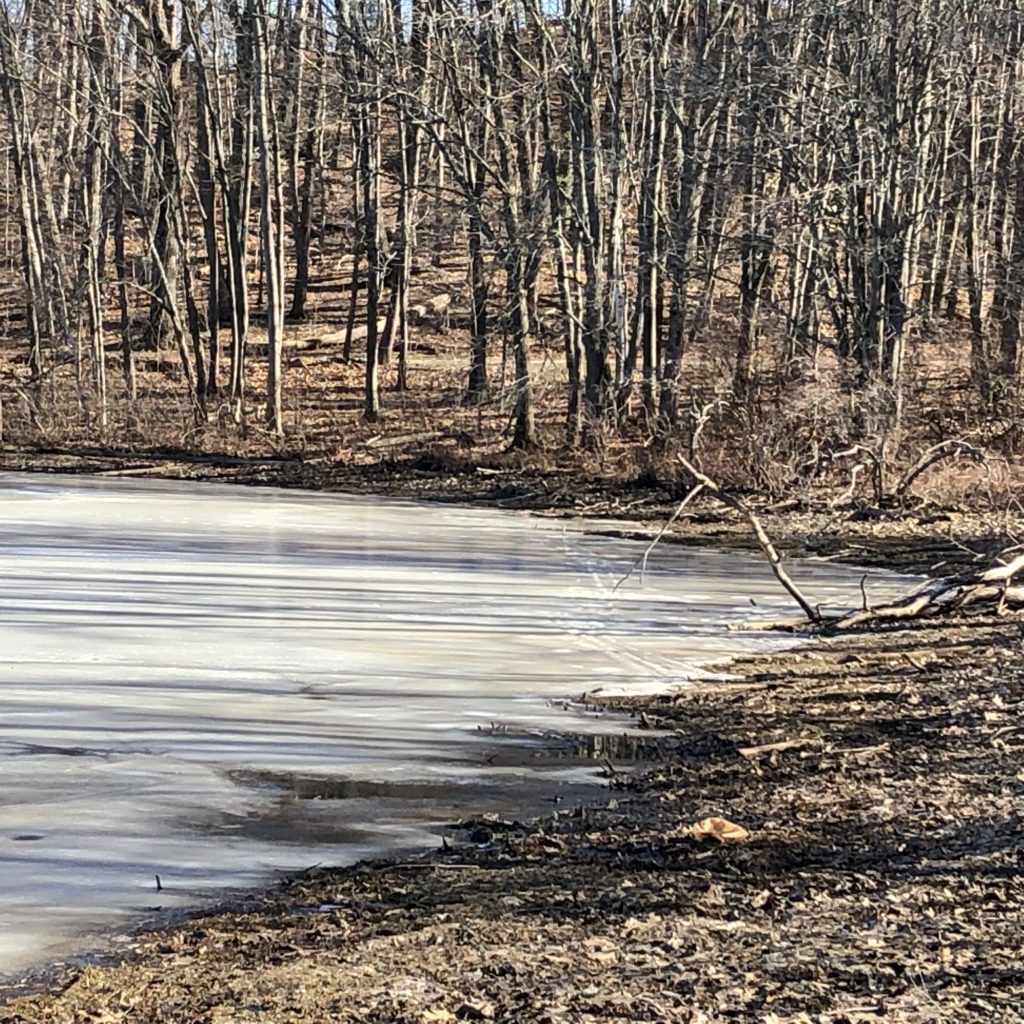 Frozen Lake, North Shore, Massachusetts.