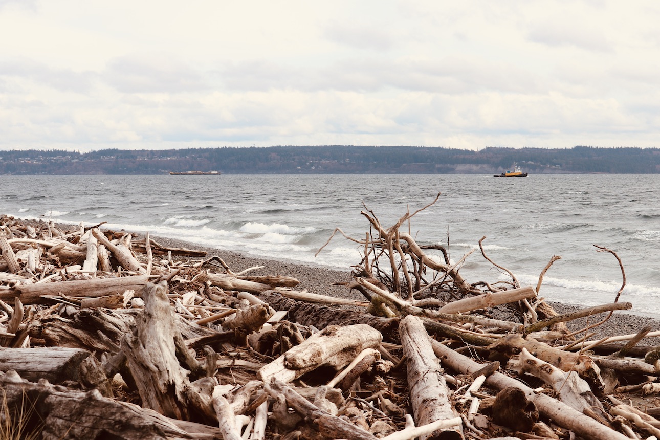 driftwood and rough seas