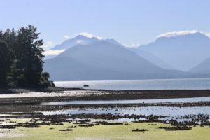 Hood Canal, WA State, early summer.