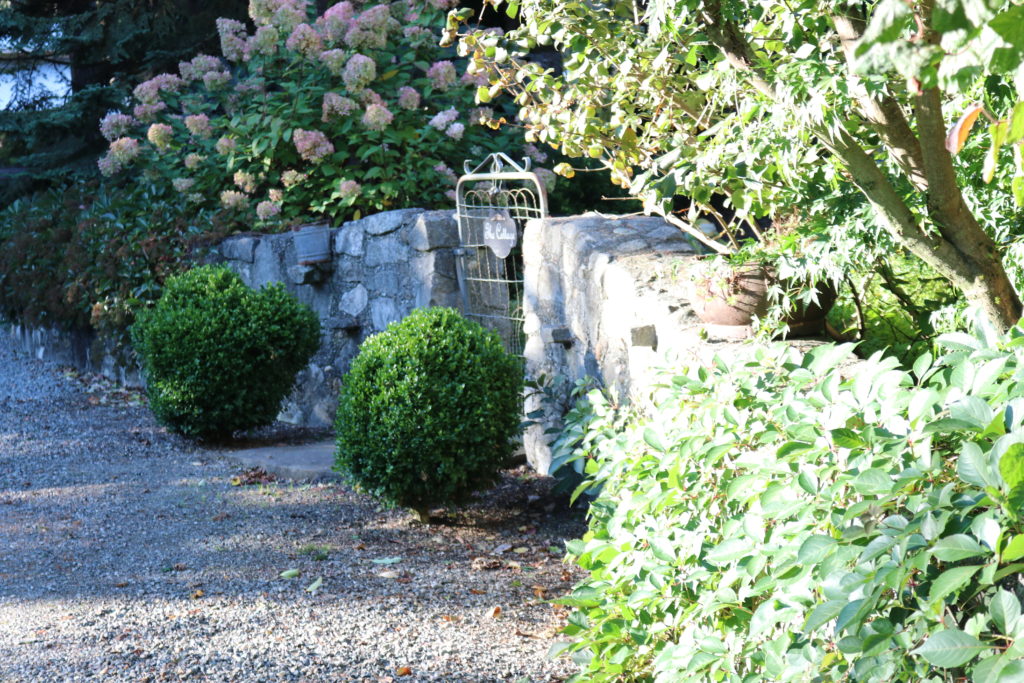 Peaceful garden path with stone wall and flowering shrubs, dappled with sunlight.