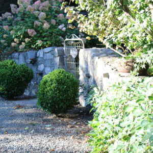 Peaceful garden path with stone wall and flowering shrubs, dappled with sunlight.